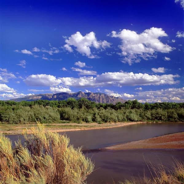 Sheraton Albuquerque Airport Hotel Buitenkant foto